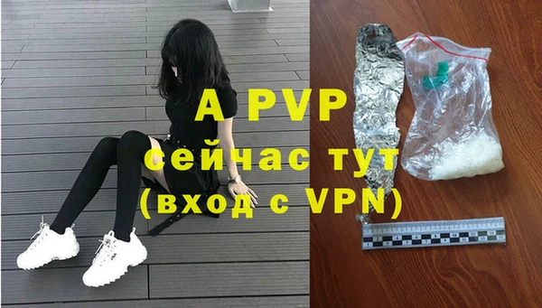 PSILOCYBIN Новодвинск
