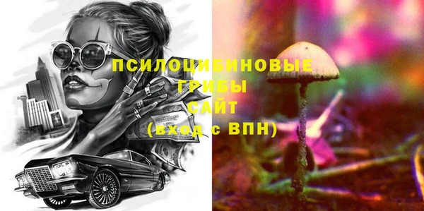 PSILOCYBIN Новодвинск