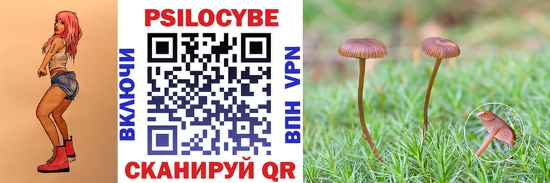 Псилоцибиновые грибы Psilocybine cubensis  Тула 