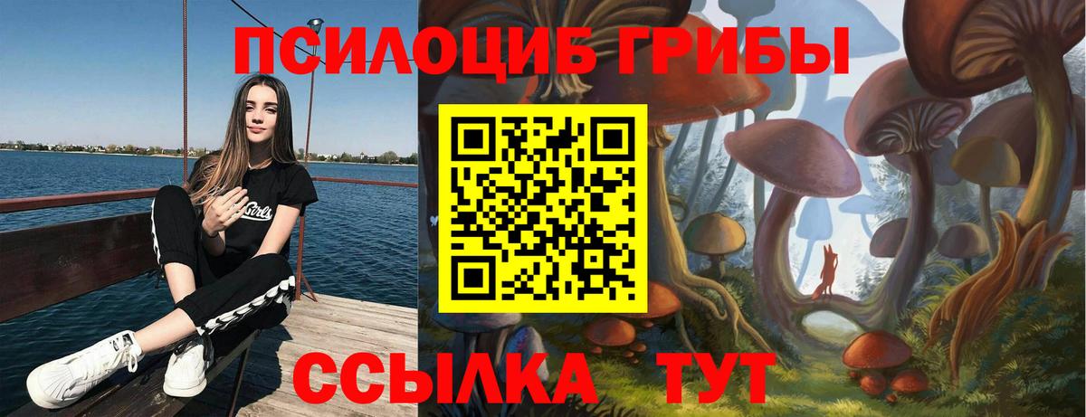 Галлюциногенные грибы MAGIC MUSHROOMS  Вход с VPN  Тула  Галлюциногенные грибы мухоморы 