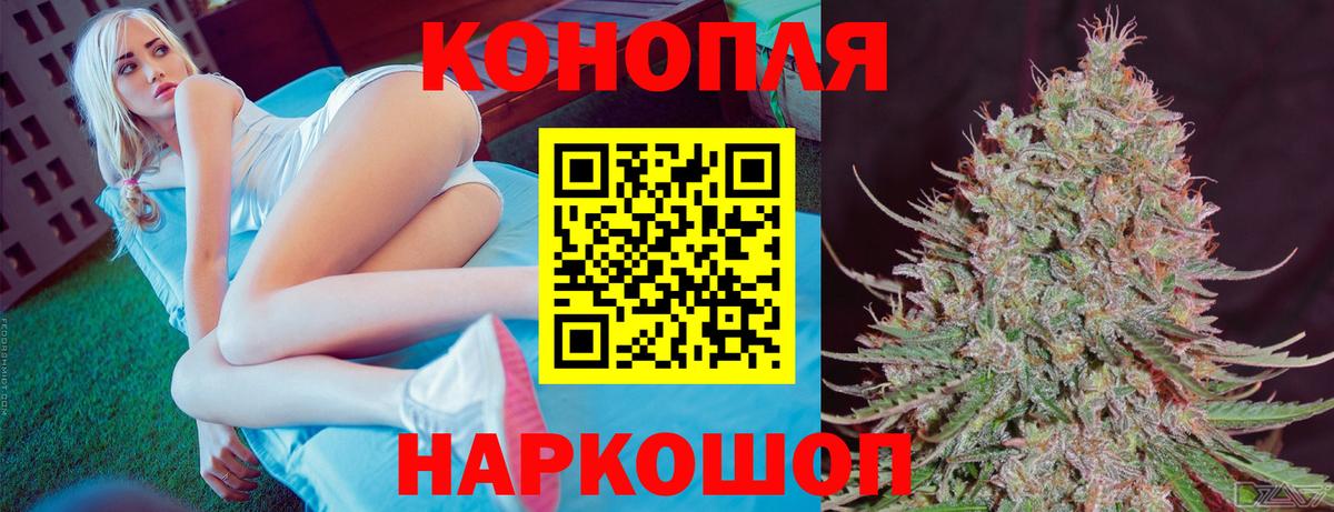 Канабис конопля Тула